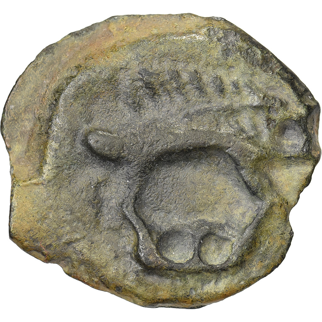 Remi, Potin au Sanglier, 2nd century BC, Potin, SS, Delestrée:153