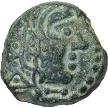 Carnutes, Sénons, Bronze à l'aigle, Ier siècle av. JC, Bronze, TTB+