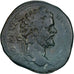 Septime Sévère, Sesterce, 195-196, Rome, Bronze, TB+, RIC:701