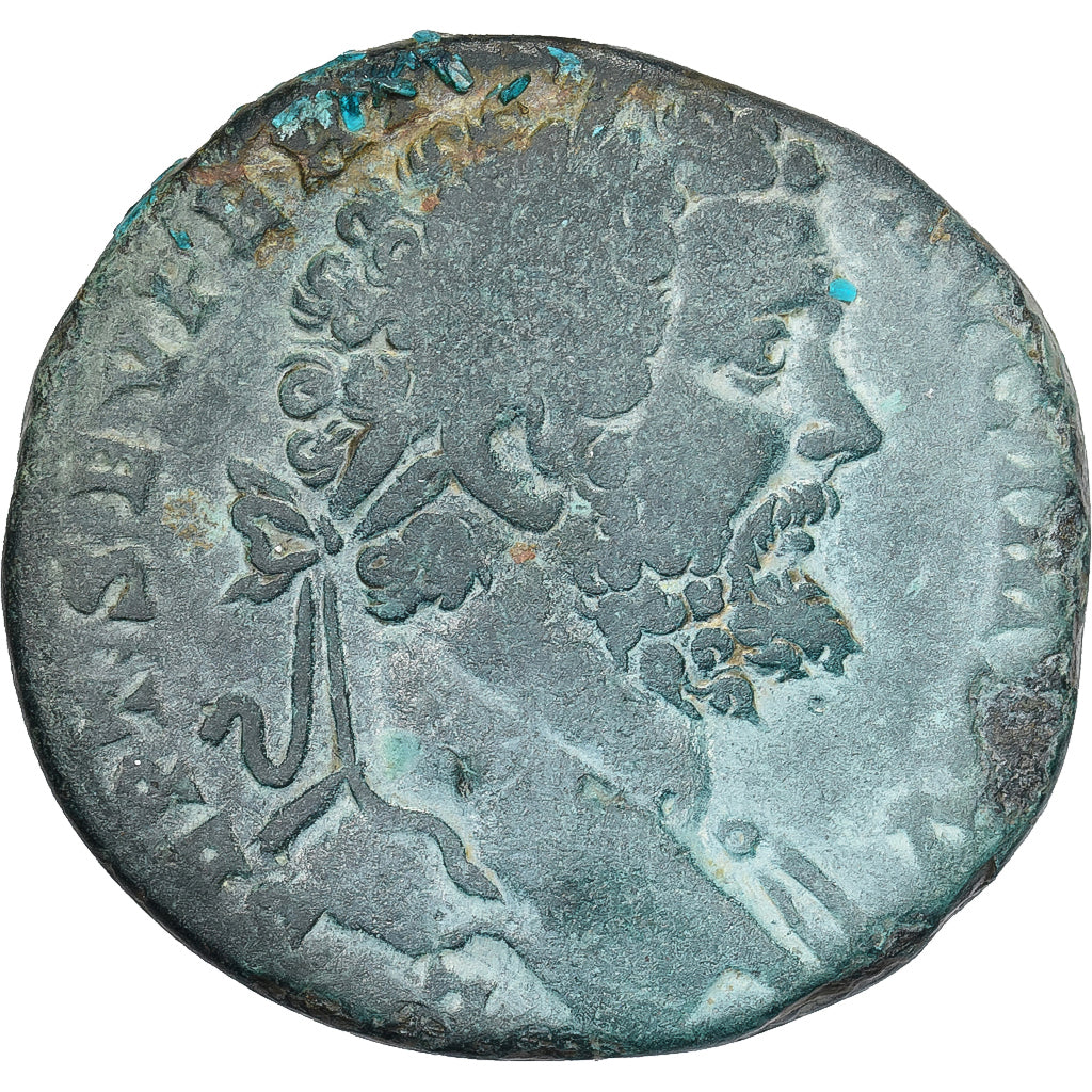 Septime Sévère, Sesterce, 195, Rome, Bronze, TB+, RIC:692