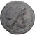 Ptolemy II Philadelphos, Æ Unit, ca. 264-260 BC, Sicily, Bronzen, FR+
