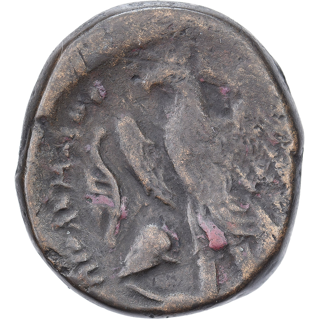 Egypte, Ptolemeüs I Soter, Hemiobol, ca. 306-294 BC, Alexandria, Bronzen, FR+