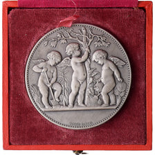 France, Medal, Société Tourangelle d'Horticulture, n.d., Silver, Dubois.A