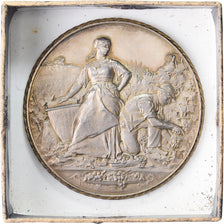 Frankrijk, Medaille, Les Vendanges, n.d., Vermeil, PR+