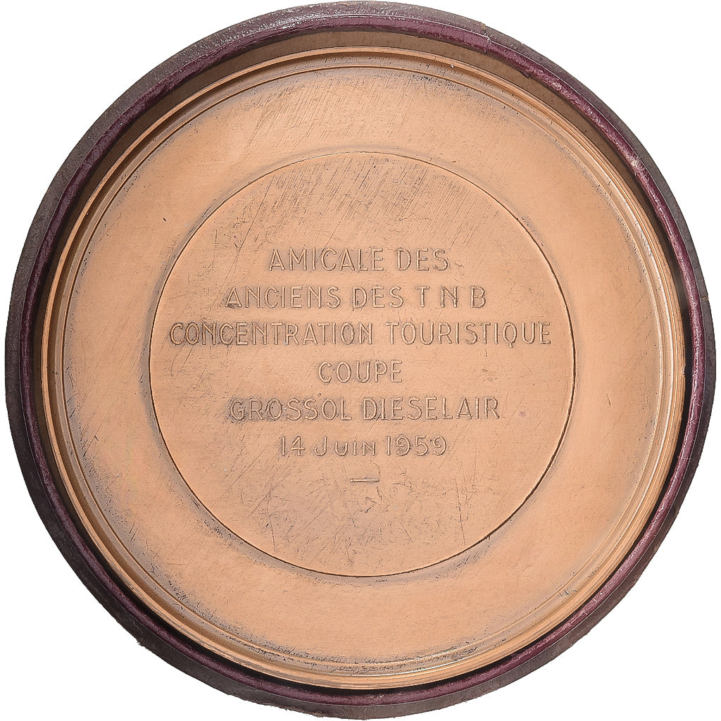 França, medalha, Aux Ailes Françaises, 1959, Bronze, Delandre, MS(63)