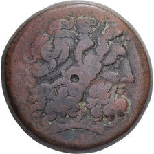 Egypt, Ptolemy III, Tetrobol, 246-222 BC, Alexandria, Bronze, VF(30-35)