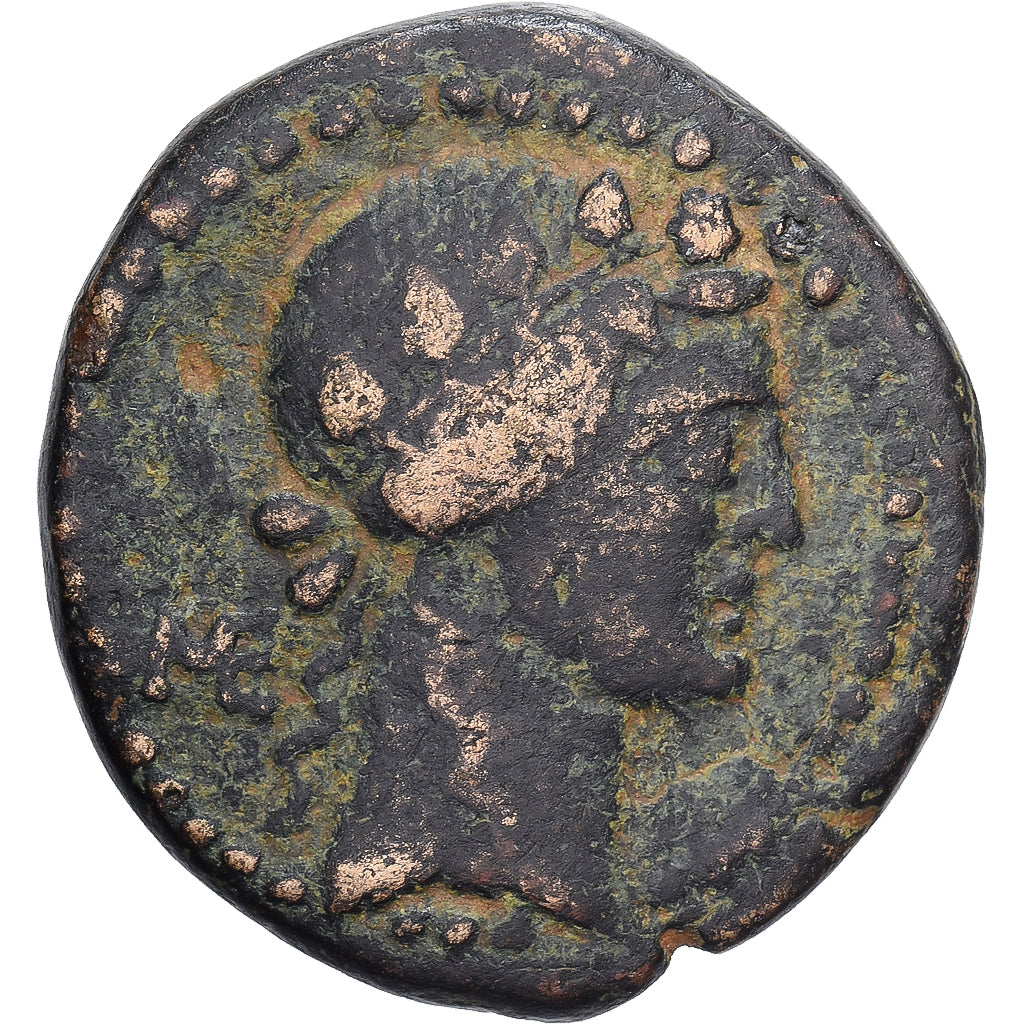 Seleucis and Pieria, Æ Unit, 1st century BC, Apameia, Bronzo, MB+