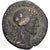 Seleucis and Pieria, Æ Unit, 1st century BC, Apameia, Bronzo, MB+