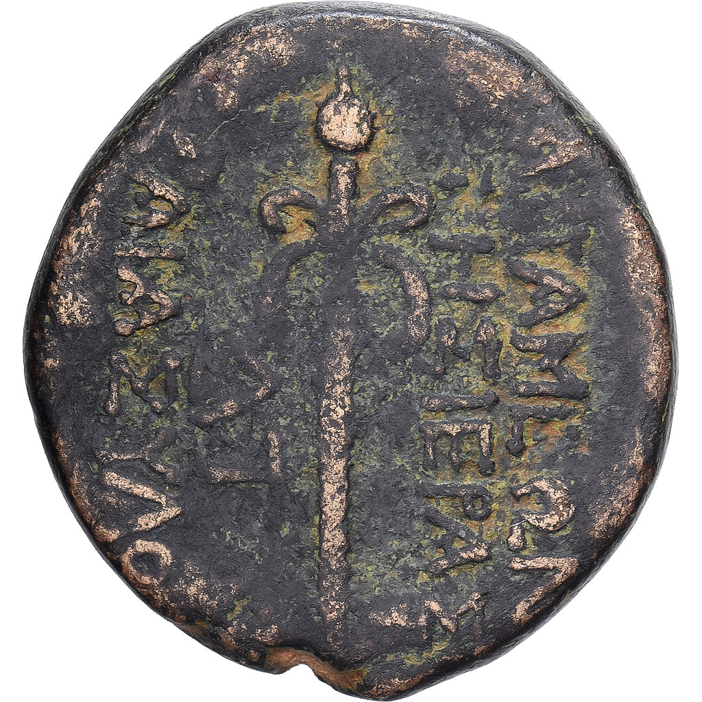 Seleucis and Pieria, Æ Unit, 1st century BC, Apameia, Bronzo, MB+