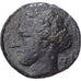 Sicily, Agatocle, Litra, 317-289 BC, Syracuse, Bronzo, MB+
