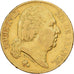 France, Louis XVIII, 20 Francs, Louis XVIII, 1819, Paris, Gold, VF(30-35)