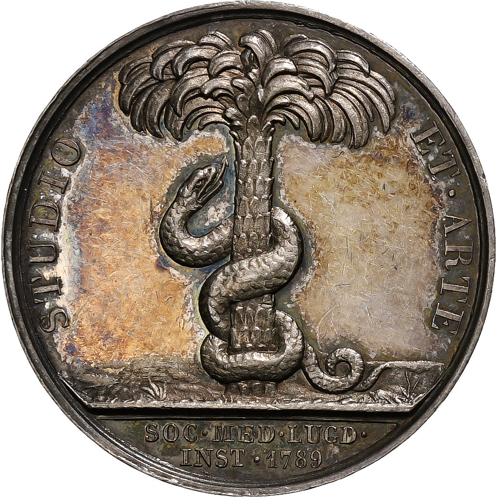 France, Token, Hippocrate, Société de Médecine de Lyon, 1789, Silver, Barre