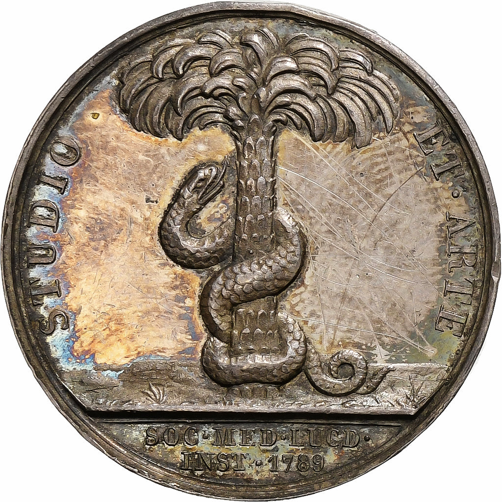 France, Token, Hippocrate, Société de Médecine de Lyon, 1789, Silver, Barre
