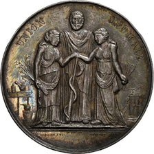 France, Token, Comité médical des Bouches-du-Rhône, 1843, Silver, AU(55-58)