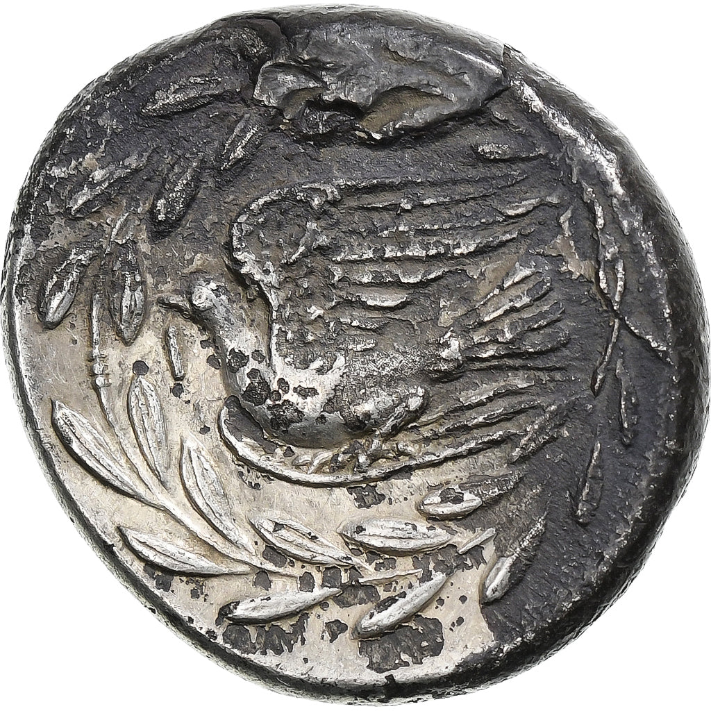 Sikyonia, Stater, ca. 335-330 BC, Sikyon, Silver, EF(40-45), HGC:5-201