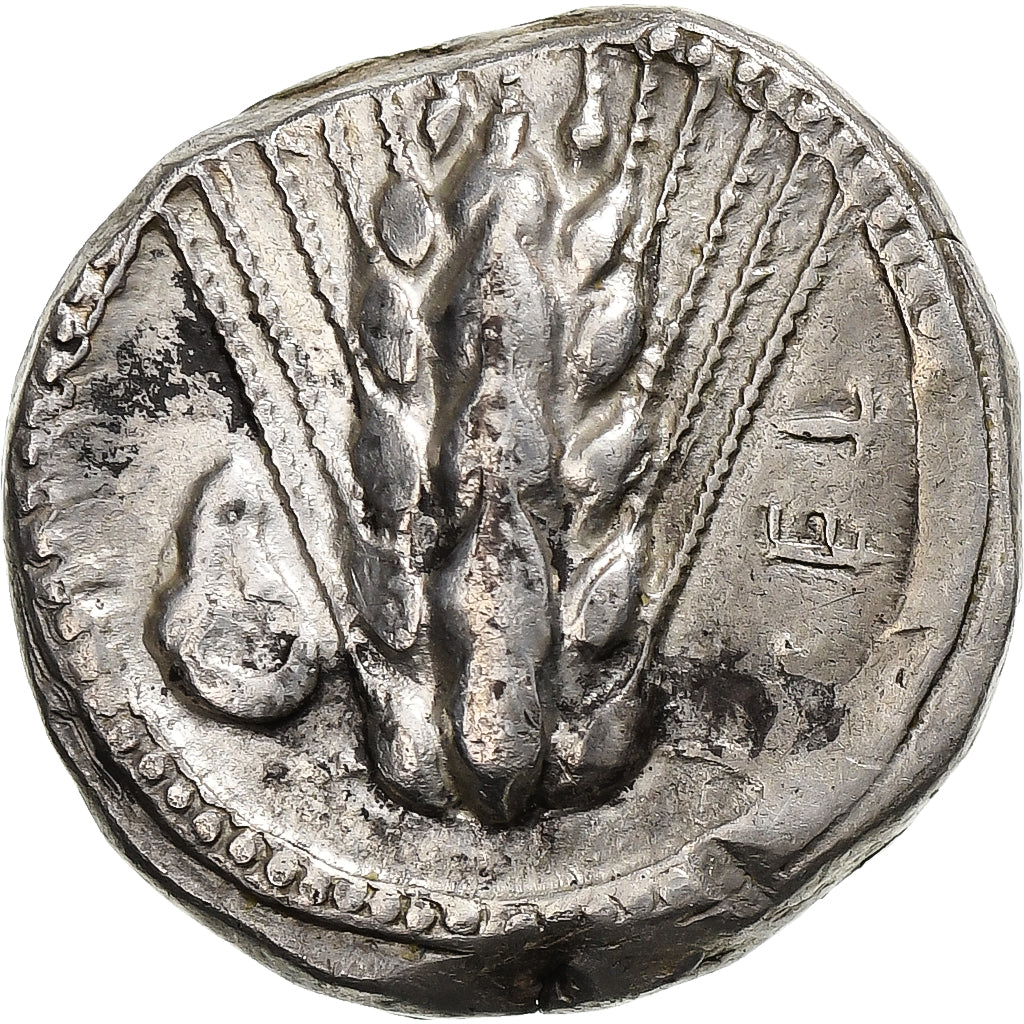 Lucania, Nomos, ca. 470-440 BC, Metapontum, Silver, EF(40-45), HGC:1-1029