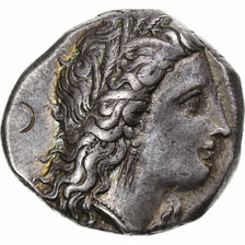 Lucania, Nomos, ca. 330-290 BC, Metapontum, Silver, AU(55-58)