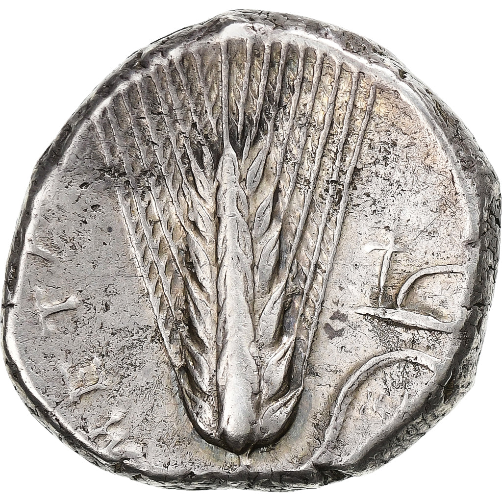 Lucania, Nomos, ca. 330-290 BC, Metapontum, Silver, AU(55-58)