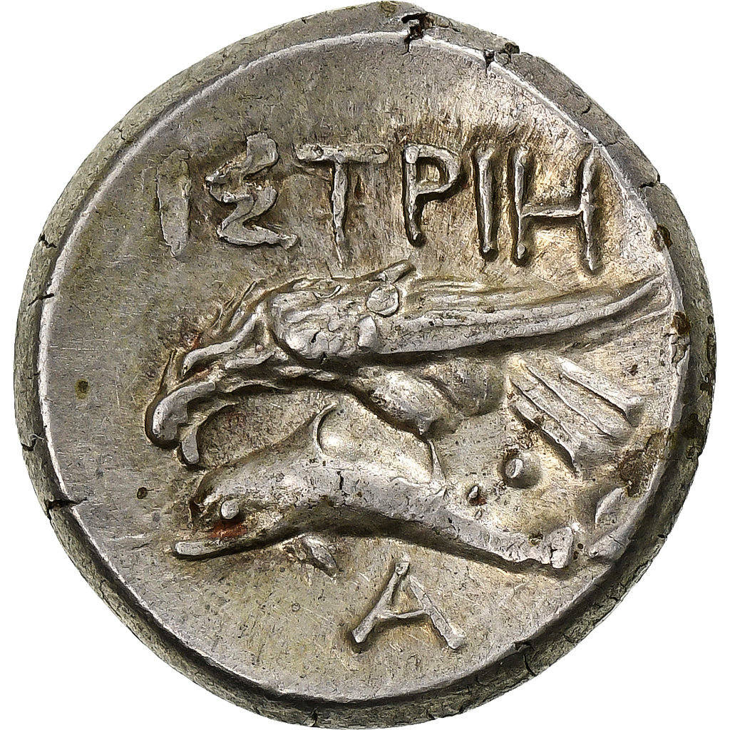 Thrace, Drachme, ca. 256/5-240 BC, Istros, Argent, TTB+, HGC:3.2-1804