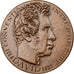 Francja, medal, David, 1969, Monnaie de Paris, Brązowy, Daniel Dupuis