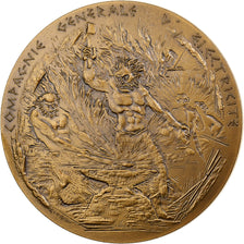 Francia, medaglia, Compagnie Générale d'Electricité, 1981, Monnaie de Paris