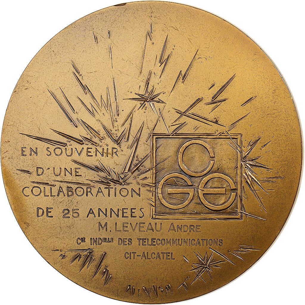 Francia, medaglia, Compagnie Générale d'Electricité, 1981, Monnaie de Paris