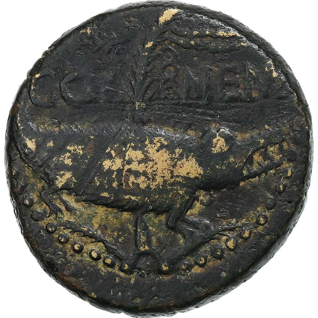 Augustus, As, 9-3 BC, Nemausus, Bronze, EF(40-45), RIC:158