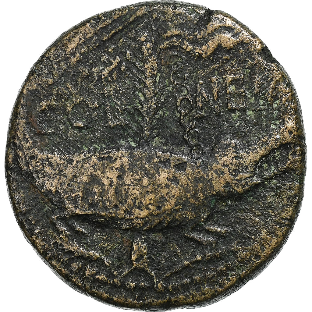 Augustus, As, 10-14, Nemausus, Bronze, VF(30-35), RIC:159