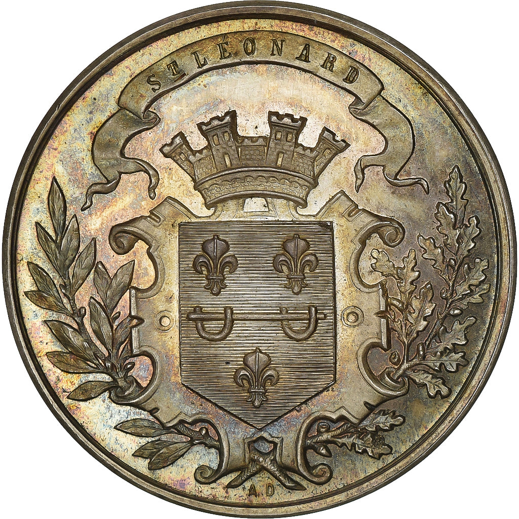 Francia, medaglia, COMICE DE SAINT LEONARD, HAUTE VIENNE, Argento, FS, SPL+