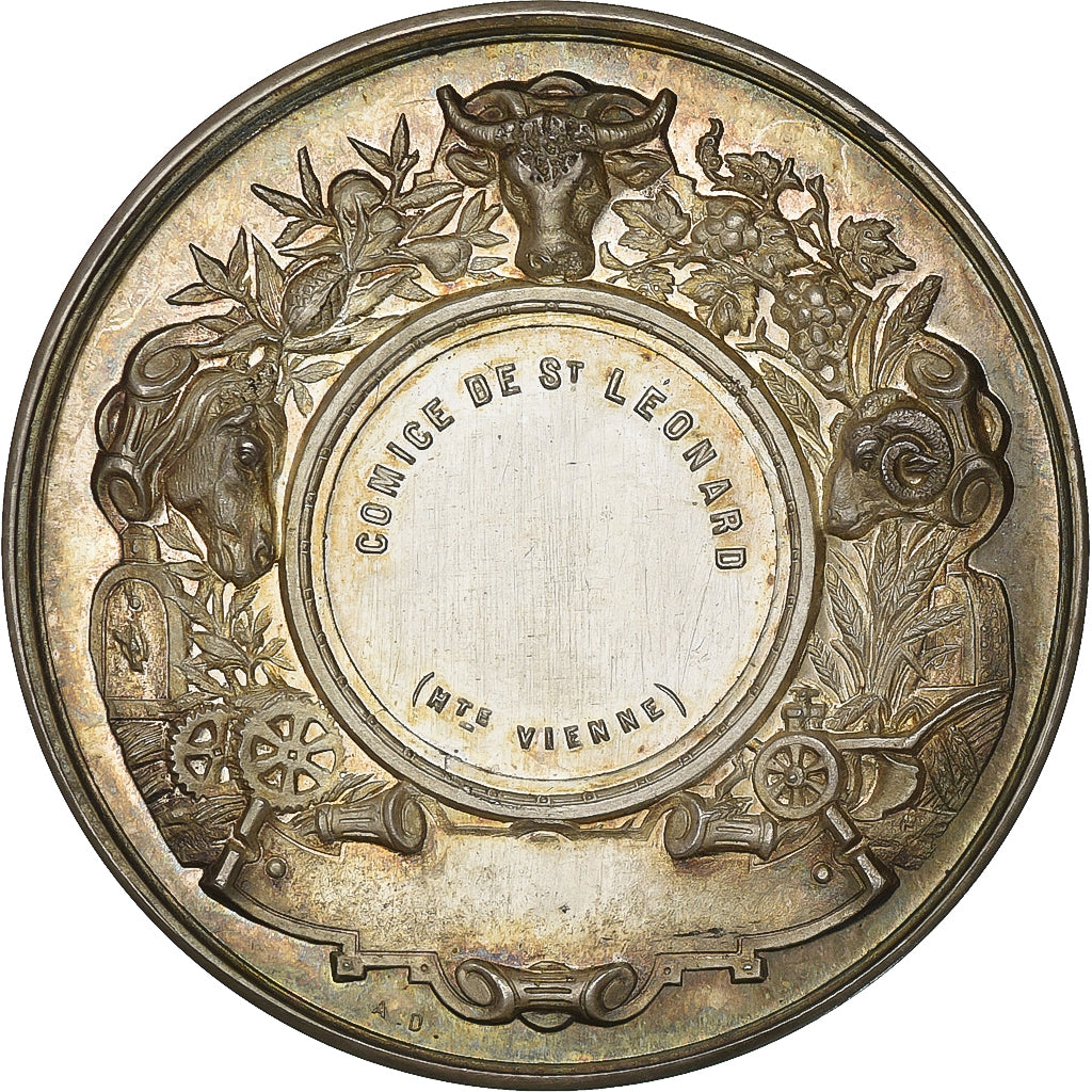 Francia, medaglia, COMICE DE SAINT LEONARD, HAUTE VIENNE, Argento, FS, SPL+