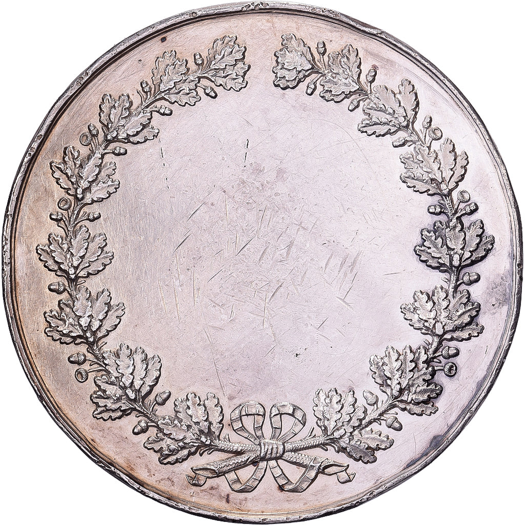 France, Médaille, Argent, TTB, Ville de Lille