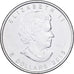 Canada, Elizabeth II, 5 Dollars, Bullion, 2013, Royal Canadian Mint, Argento
