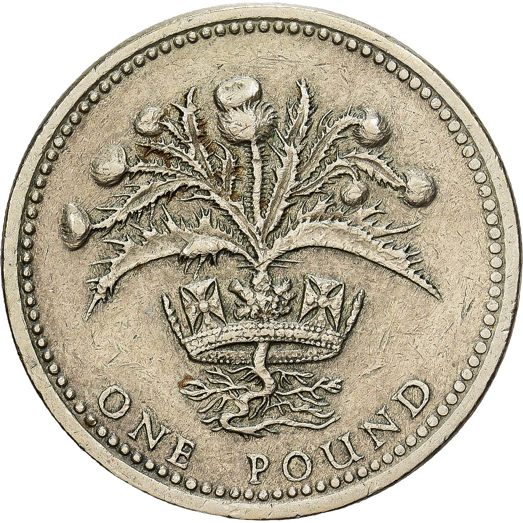 Wielka Brytania, Elizabeth II, Pound, 1984, Mosiądz niklowy, VF(30-35), KM:934