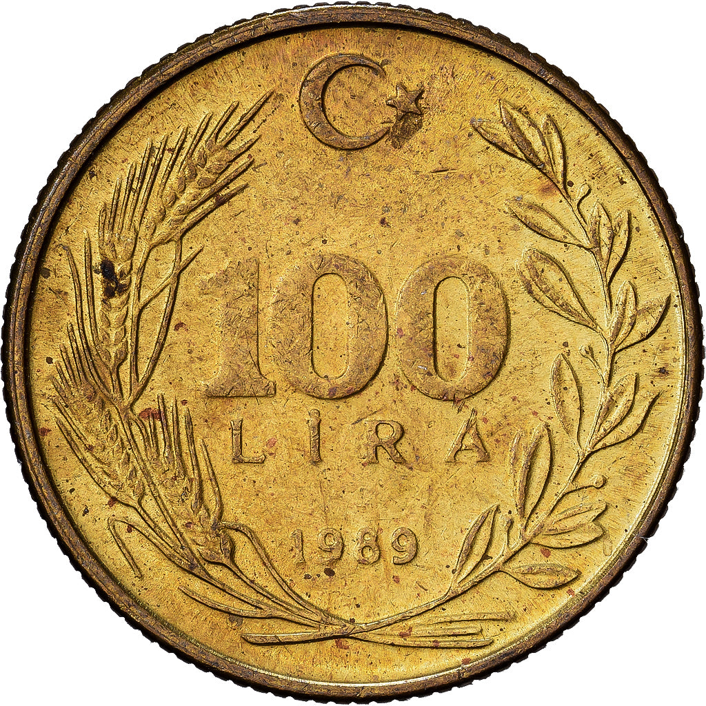Turkey, 100 Lira, 1989, Aluminum-Bronze, VF(30-35), KM:988
