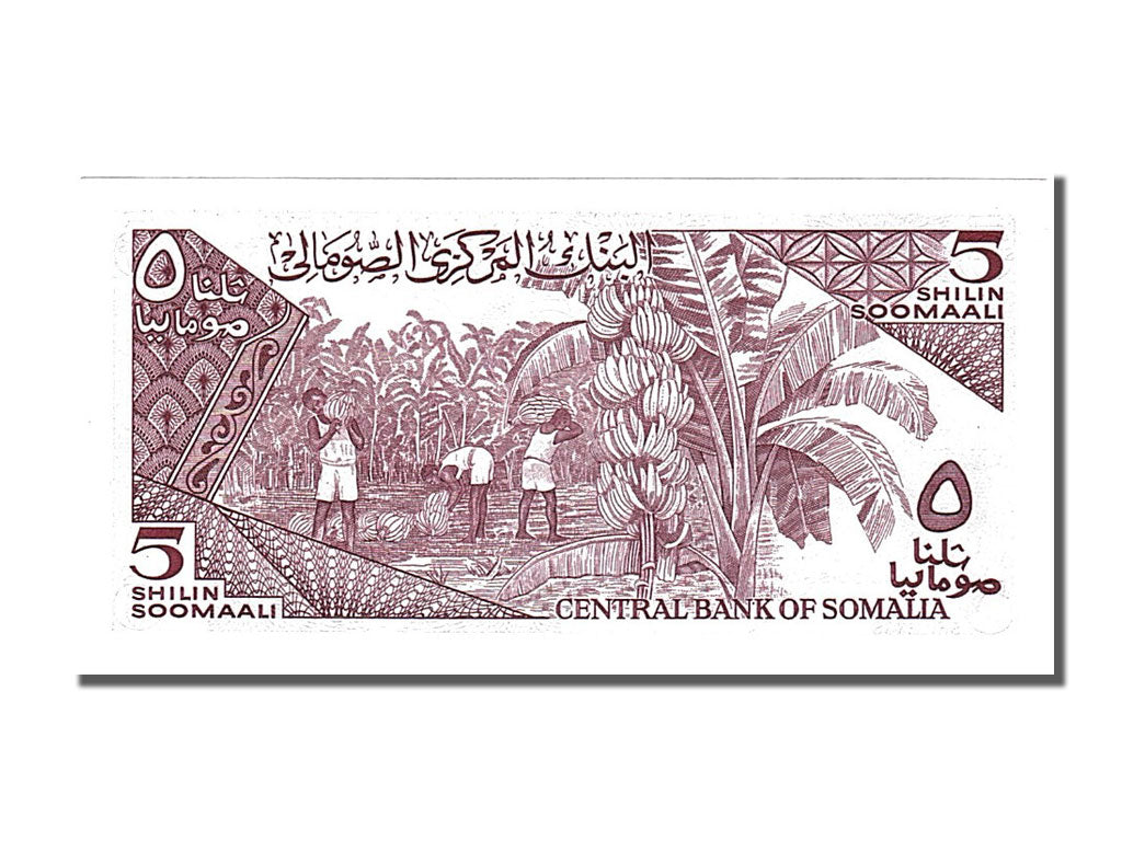 Banknote, Somalia, 5 Shilin = 5 Shillings, 1986, UNC(65-70)