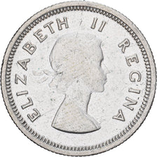 South Africa, Elizabeth II, Shilling, 1956, Silver, EF(40-45), KM:49