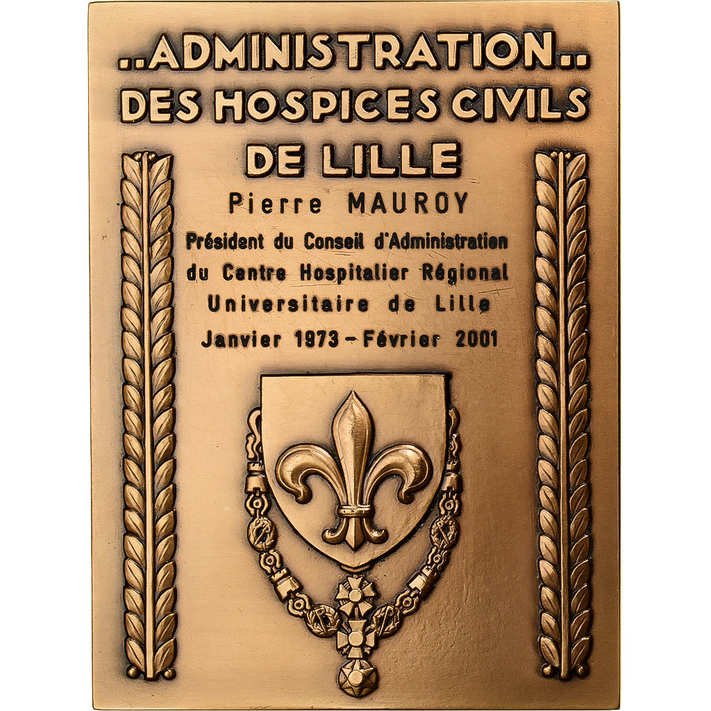 France, Medal, Jeanne de Constantinople, Hospices de Lille, 2001, Bronze, Robert