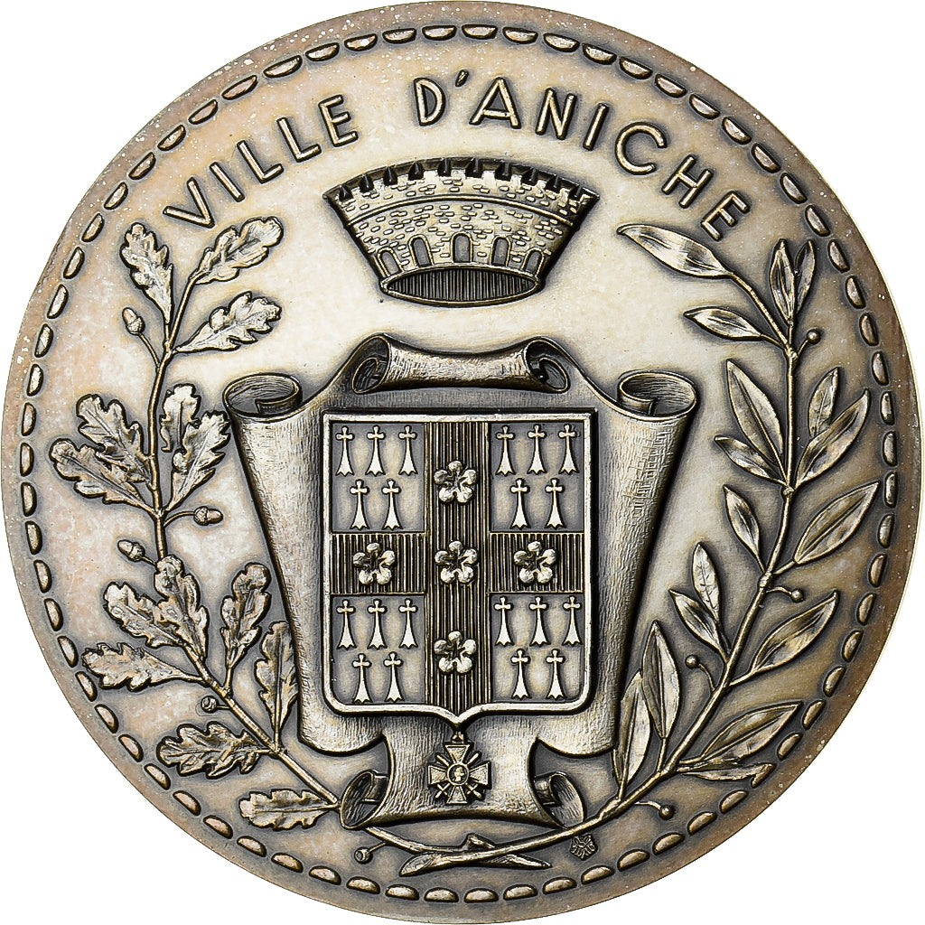 Francia, medaglia, Ville d'Aniche, Bronzo argentato, SPL