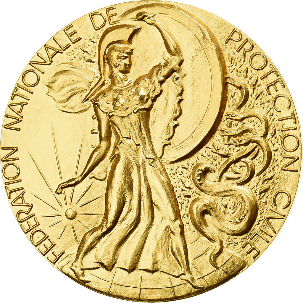 Francia, medaglia, Fédération Nationale de Protection Civile, 1991, Bronzo