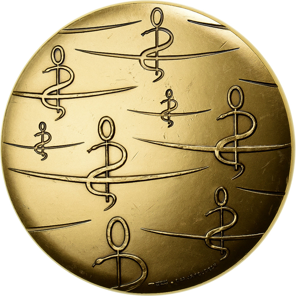 Francia, medaglia, Ordre National des Médecins, Bronzo, MDP, SPL-