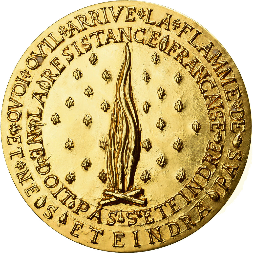 Francia, medaglia, La Résistance, Bronzo dorato, De Jeager, SPL