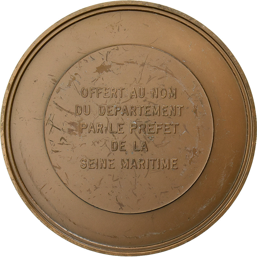 Francia, medaglia, Gustave Flaubert, 1978, Bronzo, BB+