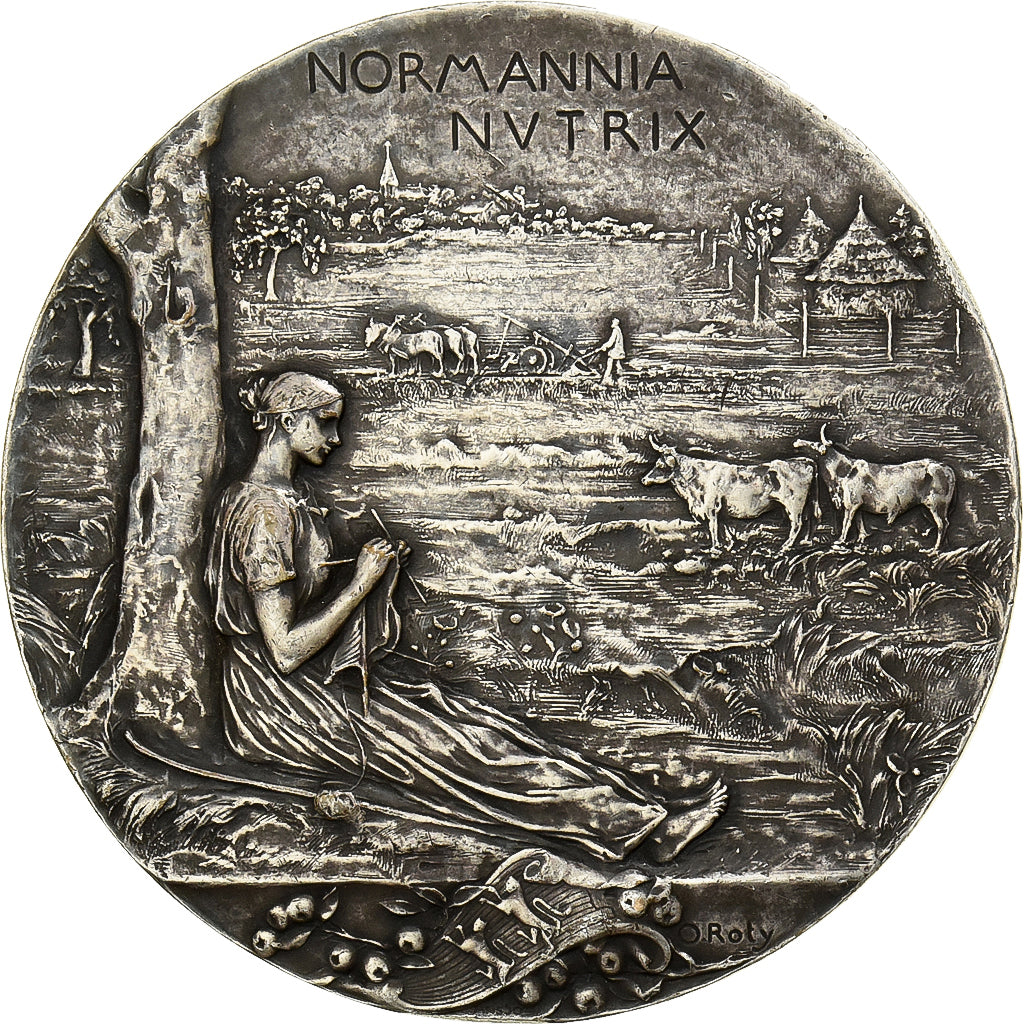 Francia, medaglia, Exposition Nationale et Coloniale de Rouen, 1896, Bronzo