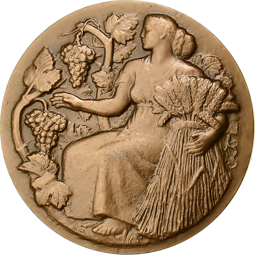 Francia, medaglia, Concours Agricoles, Agriculture, Petit, SPL, Bronzo