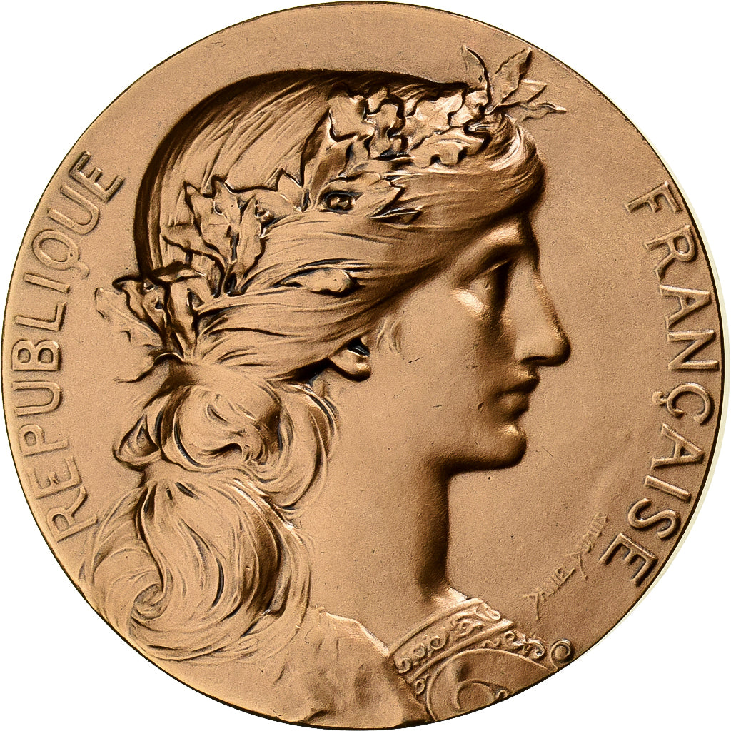 Francia, medaglia, Marianne, Ville de Nesle-Hodeng, 1996, Bronzo, Dupuis.D, SPL