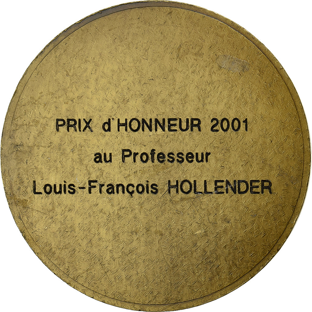 Francia, medaglia, Les Amis du Vieux Strasbourg, 2001, Bronzo, SPL-