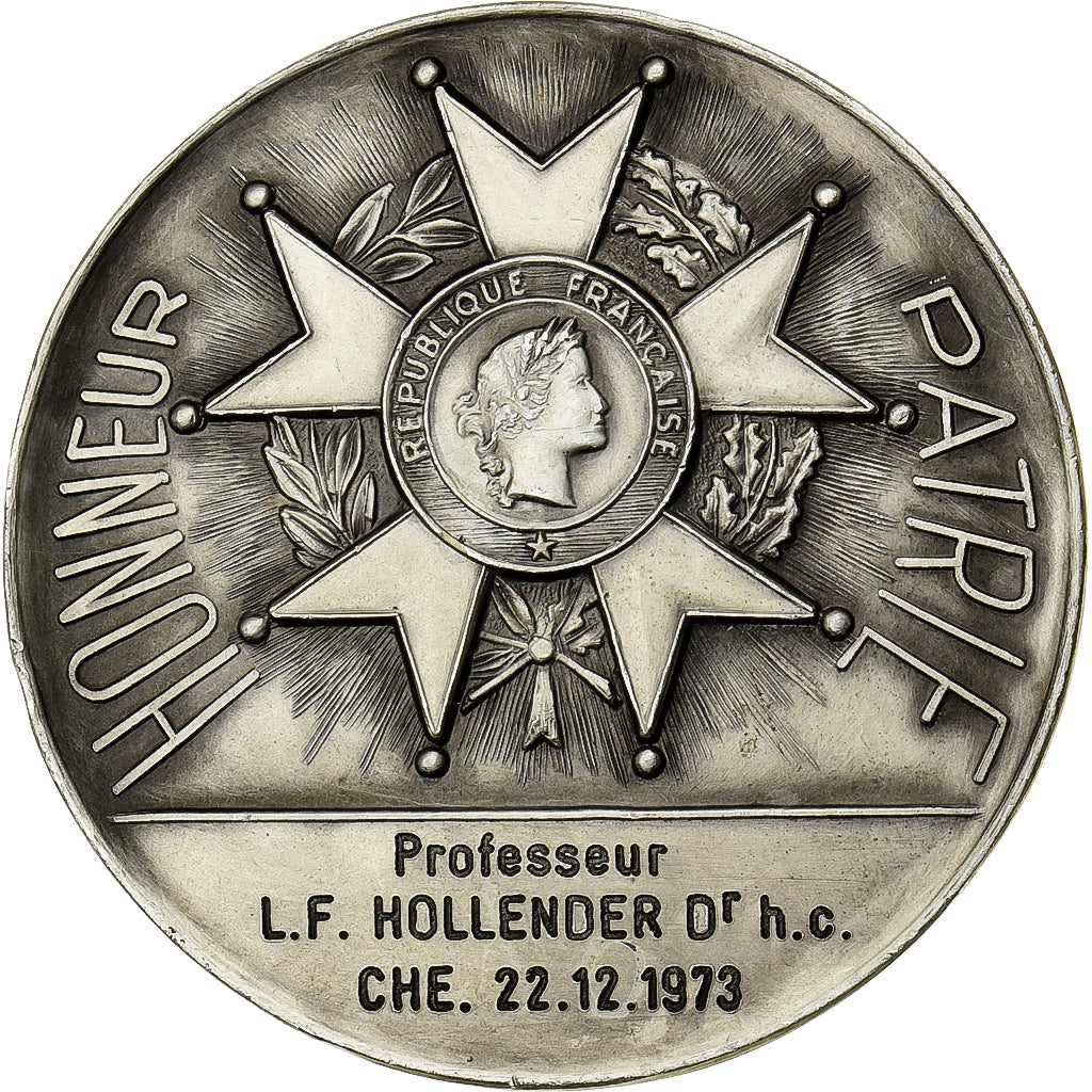 Francia, medaglia, Professeur Hollender, 1973, Argento, SPL