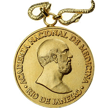Brésil, Médaille, Academia Nacional de Medicina, Rio de Janeiro, Gilt Metal