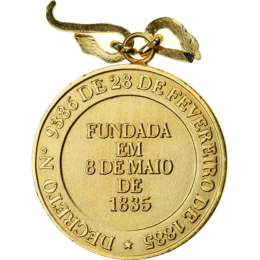 Brésil, Médaille, Academia Nacional de Medicina, Rio de Janeiro, Gilt Metal