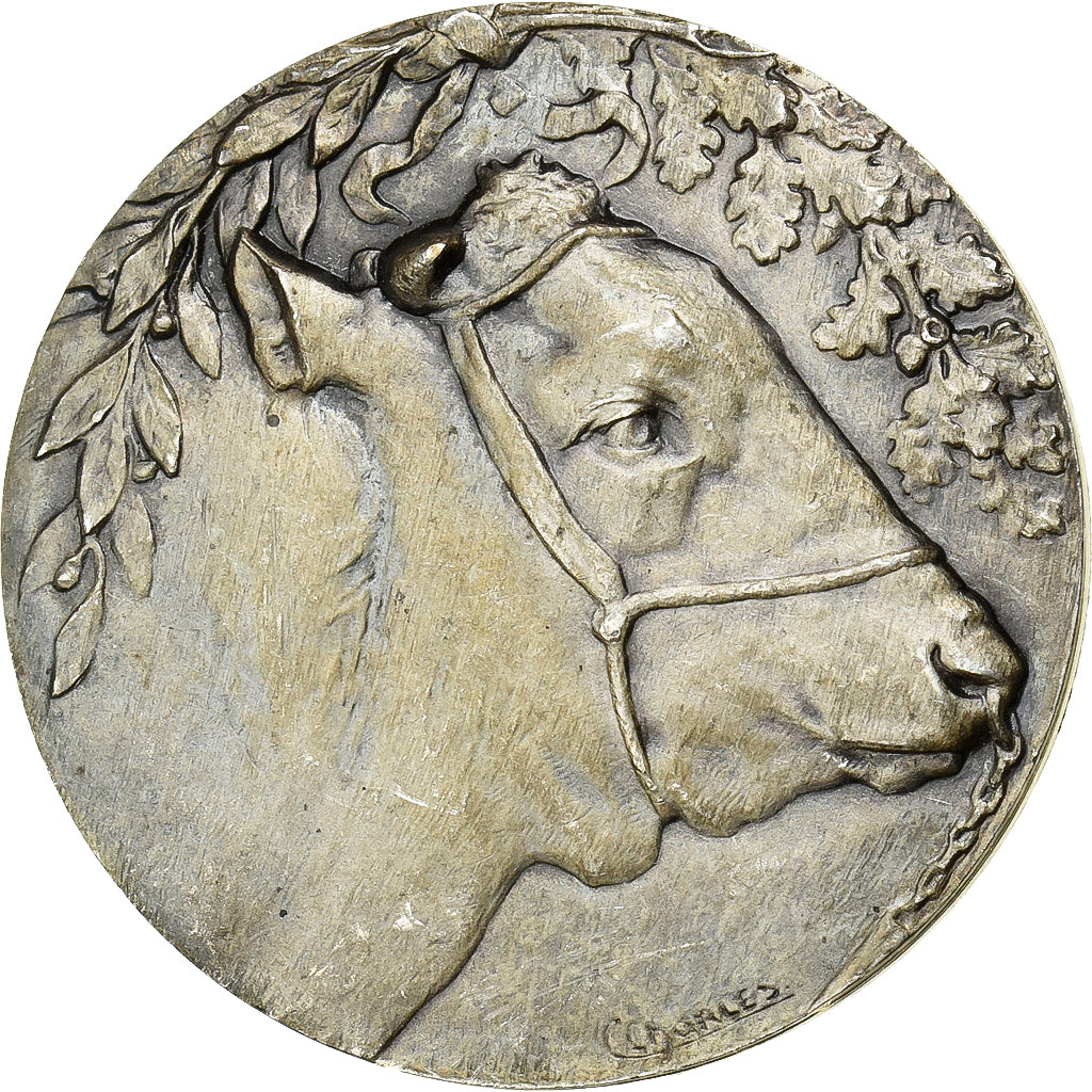 Francia, medalla, Taureau, Bronce plateado, Charles, MBC+